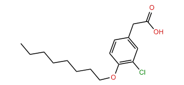 4-(Octyloxy)-3-chlorophenylacetic acid